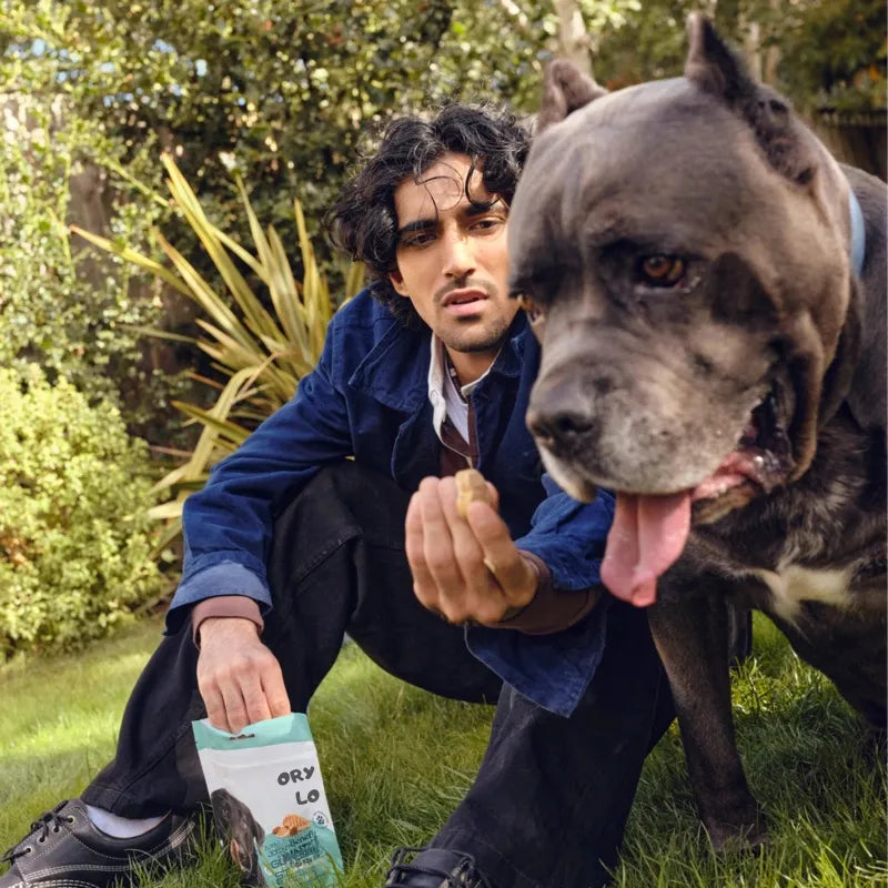 Joint + GutBoost Dog Treats