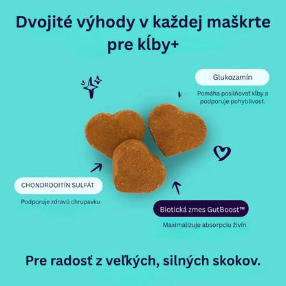 Joint + GutBoost Dog Treats